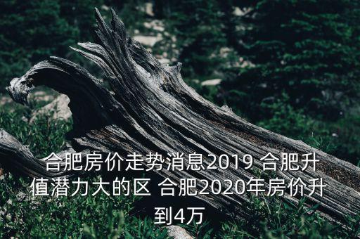  合肥房价走势消息2019 合肥升值潜力大的区 合肥2020年房价升到4万