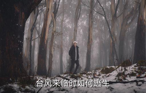 台风来临时如何逃生