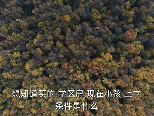 买了学区房孩子就可以上学了吗