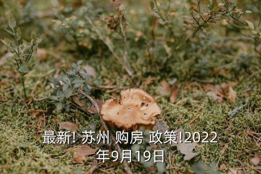 最新! 苏州 购房 政策!2022年9月19日