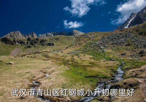 武汉市青山区红钢城小升初哪里好