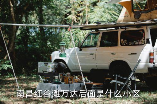 南昌红谷滩万达后面是什么小区