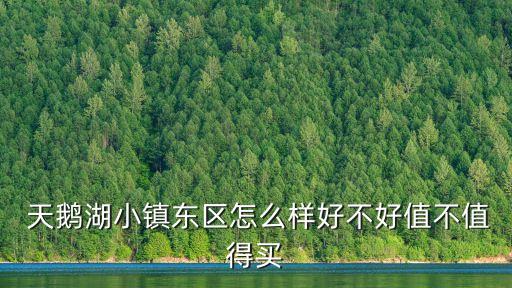  天鹅湖小镇东区怎么样好不好值不值得买
