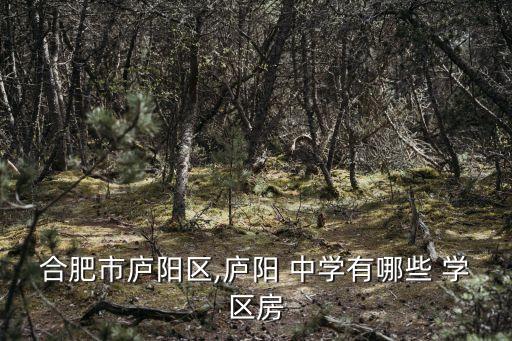 遵义中学学区房有哪些房,遵义播州区中学学区划分