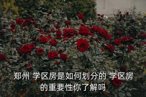  郑州 学区房是如何划分的 学区房的重要性你了解吗
