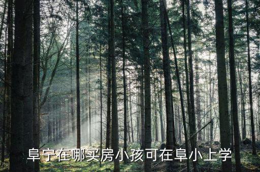 阜宁在哪买房小孩可在阜小上学