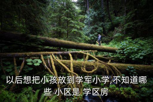 以后想把小孩放到学军小学,不知道哪些 小区是 学区房
