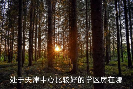 处于天津中心比较好的学区房在哪