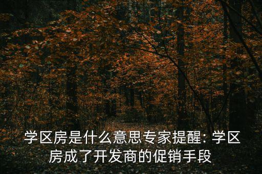  学区房是什么意思专家提醒: 学区房成了开发商的促销手段