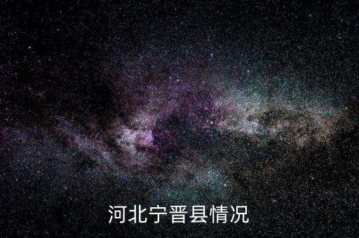 河北宁晋县情况