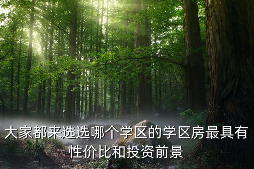 比较好的学区房哪个学校好，想在成都一环买一套学区房哪个比较好