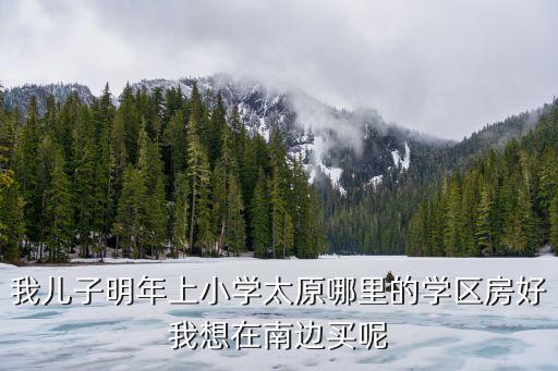 我儿子明年上小学太原哪里的学区房好我想在南边买呢