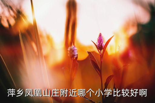 萍乡凤凰山庄附近哪个小学比较好啊