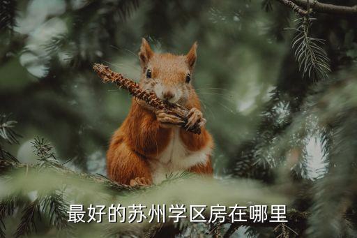 最好的苏州学区房在哪里