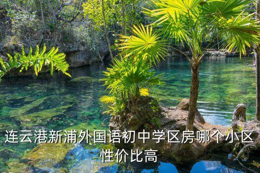 连云港新浦外国语初中学区房哪个小区性价比高