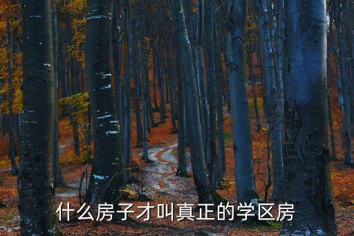 什么房子才叫真正的学区房