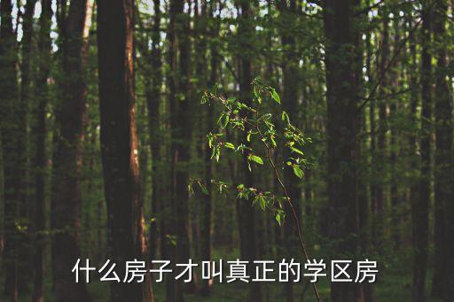 什么房子才叫真正的学区房