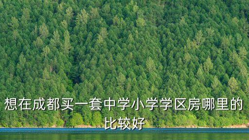 想在成都买一套中学小学学区房哪里的比较好
