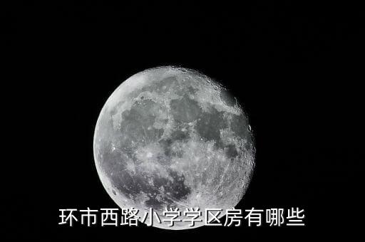环市西路小学学区房有哪些