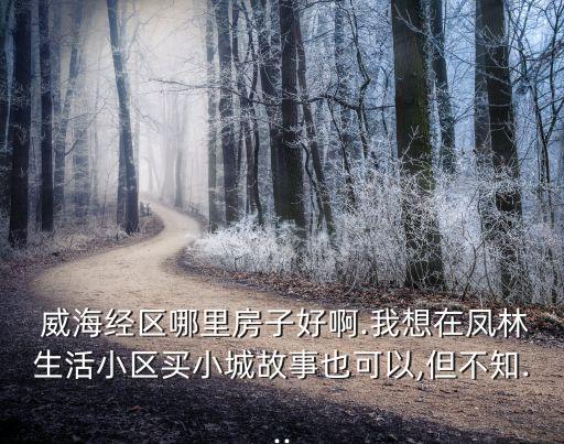  威海经区哪里房子好啊.我想在凤林生活小区买小城故事也可以,但不知...