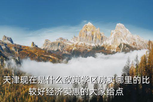 天津现在是什么政策学区房买哪里的比较好经济实惠的大家给点