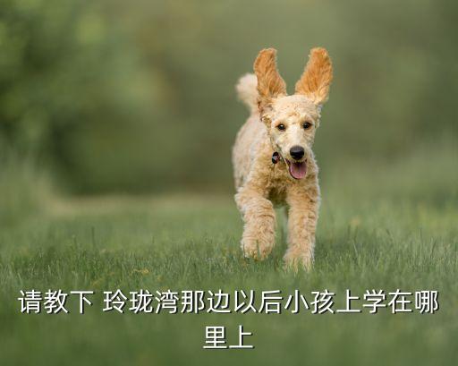 请教下 玲珑湾那边以后小孩上学在哪里上