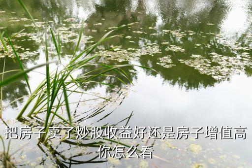 把房子卖了炒股收益好还是房子增值高你怎么看