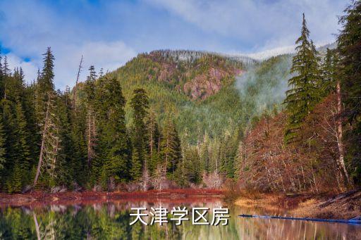 天津学区房