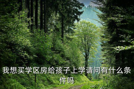 我想买学区房给孩子上学请问有什么条件吗