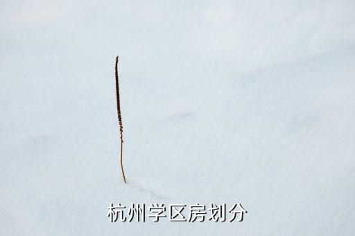 杭州学区房划分