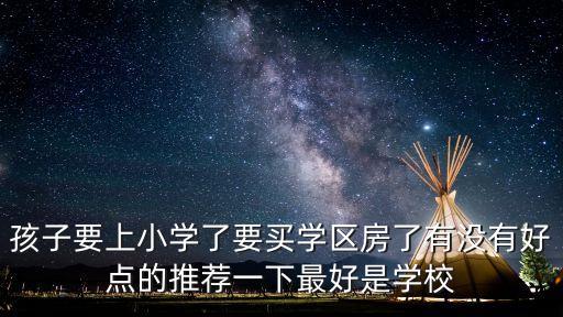 孩子要上小学了要买学区房了有没有好点的推荐一下最好是学校