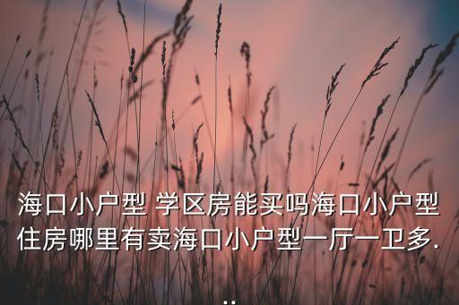 海口小户型 学区房能买吗海口小户型住房哪里有卖海口小户型一厅一卫多...