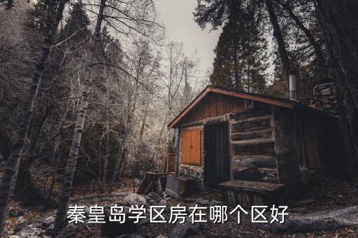 秦皇岛学区房在哪个区好