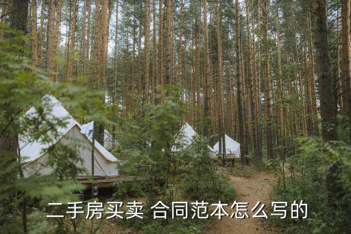  二手房买卖 合同范本怎么写的