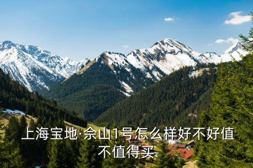 上海泗泾学区房哪里好