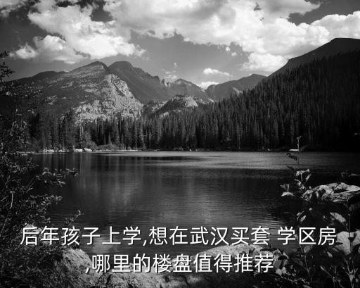 学区房哪里买比较安静的,朝阳一般去哪里买学区房