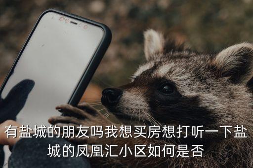 有盐城的朋友吗我想买房想打听一下盐城的凤凰汇小区如何是否