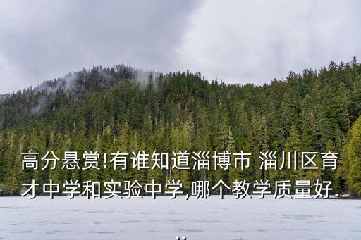 淄川哪里买学区房便宜