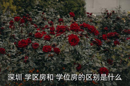深圳 学区房和 学位房的区别是什么