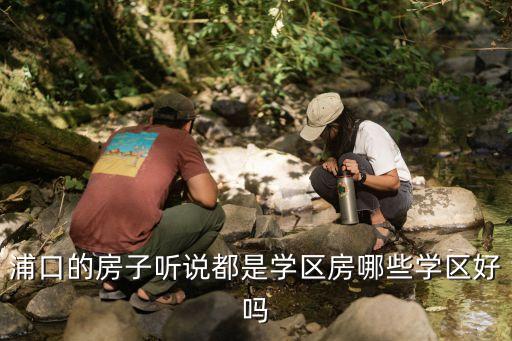浦口的房子听说都是学区房哪些学区好吗