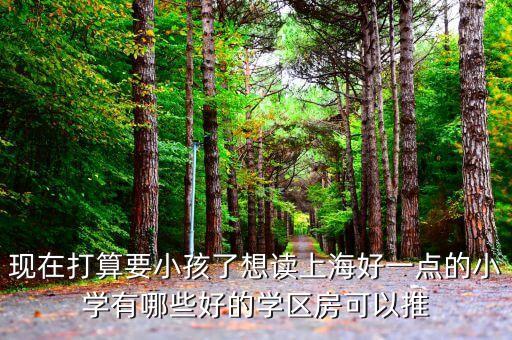 现在打算要小孩了想读上海好一点的小学有哪些好的学区房可以推