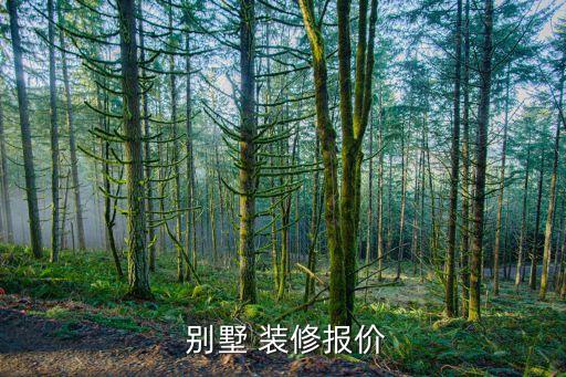  别墅 装修报价