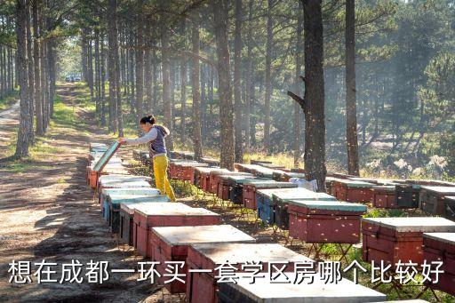 成都保利学区房哪个好，成都好的学区房求推荐