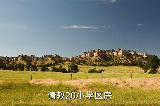 请教20小学区房
