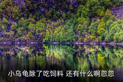 高明哪个学区房最好，打算在高明买房各位亲们有好的推荐没