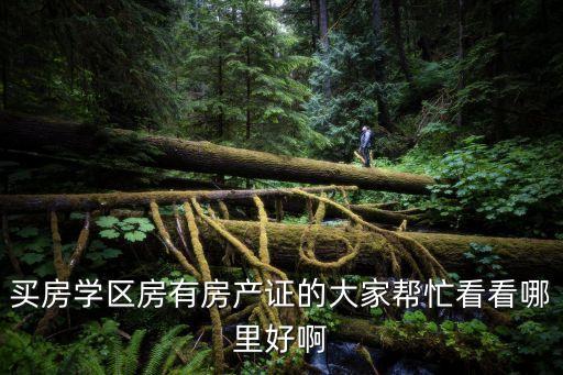 买房学区房有房产证的大家帮忙看看哪里好啊