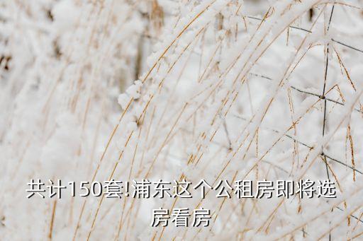 共计150套!浦东这个公租房即将选房看房