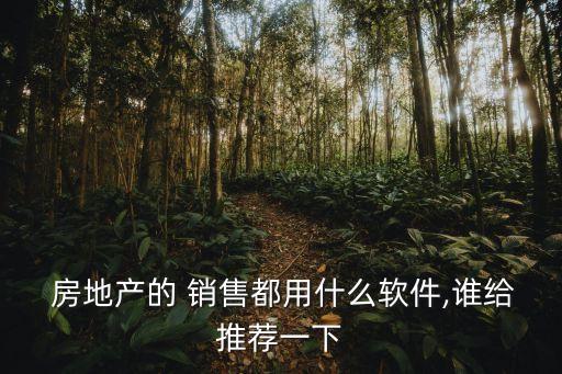  房地产的 销售都用什么软件,谁给推荐一下