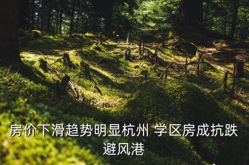 苏仙区学区房大盘有哪些