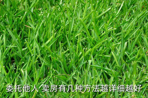 卖房授权委托书